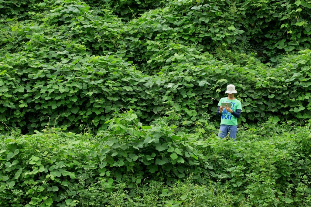 電波のチェック
