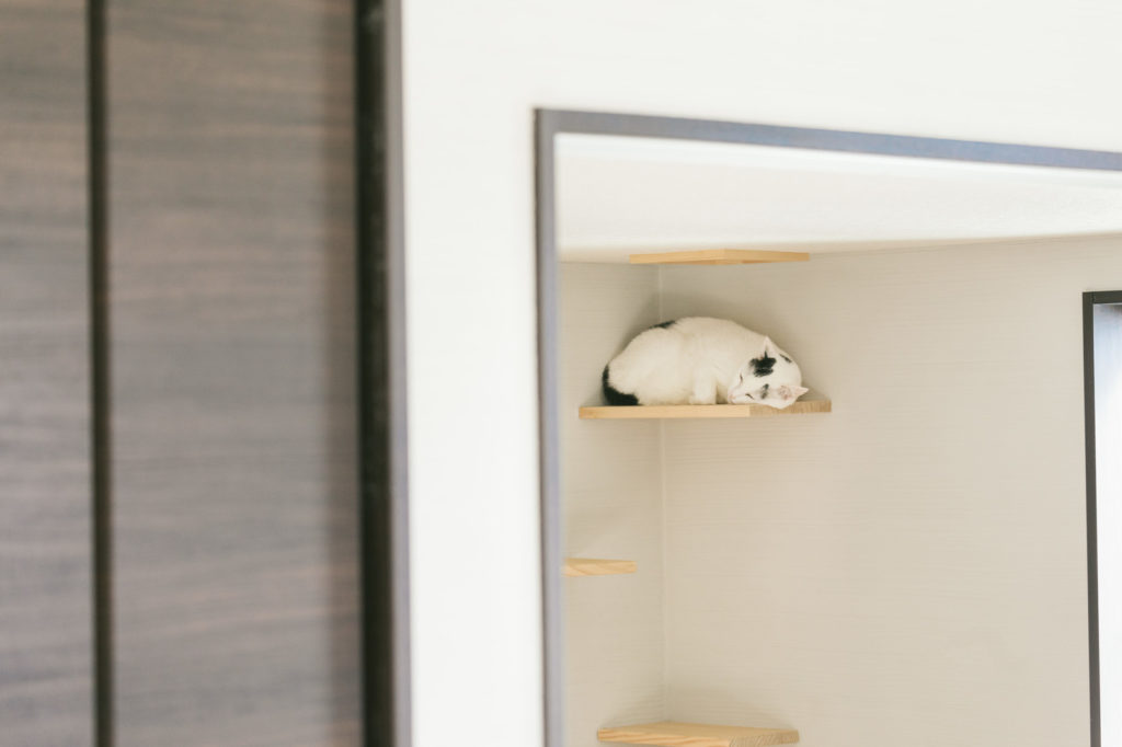 コストパフォーマンスはトップクラス