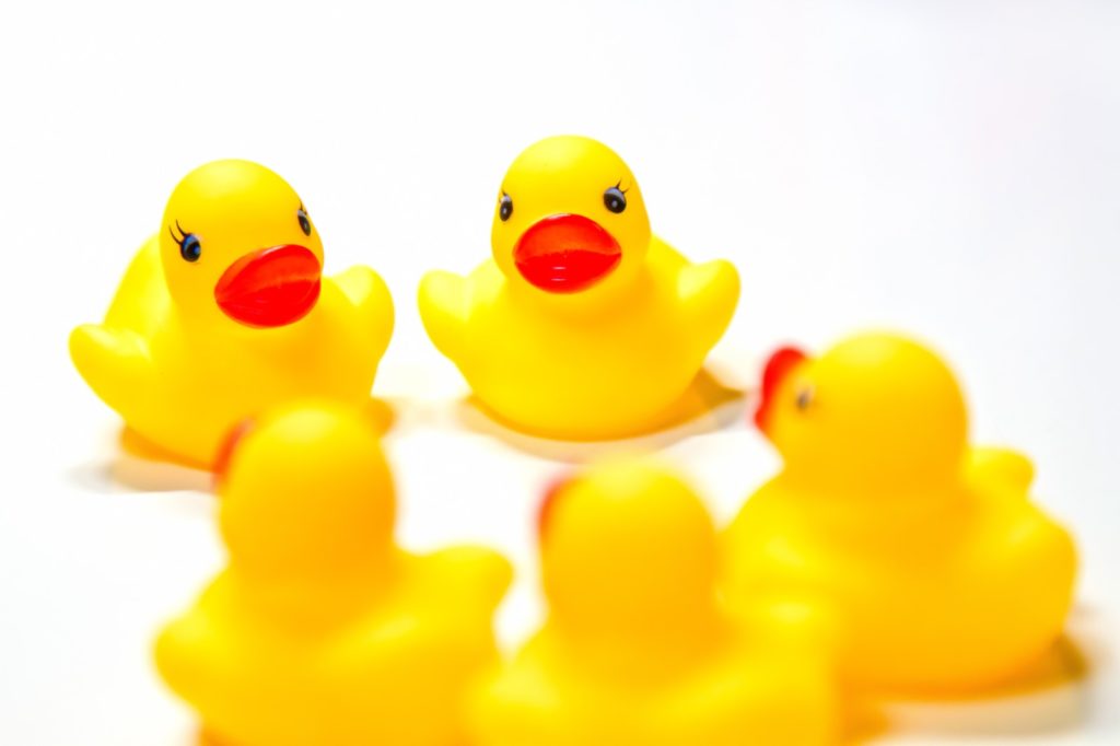 ファミリーパック