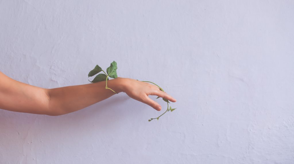 主なWiMAX提供会社