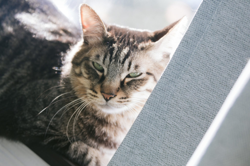 今すぐ変えたほうがいい理由