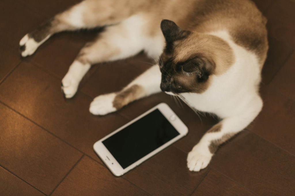 WiFi接続自動OFF機能を解除する方法