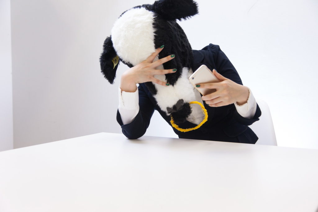 最大のデメリットは容量の制限