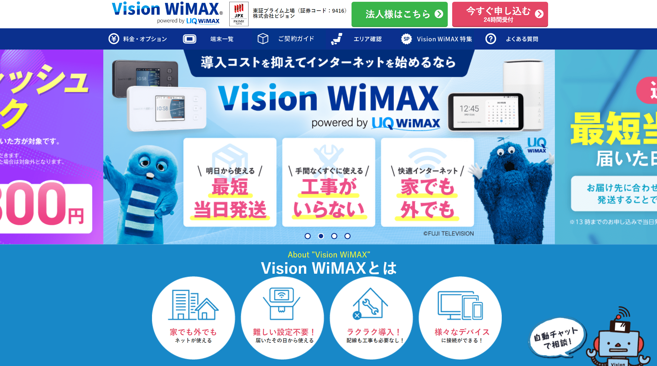 vision wimax